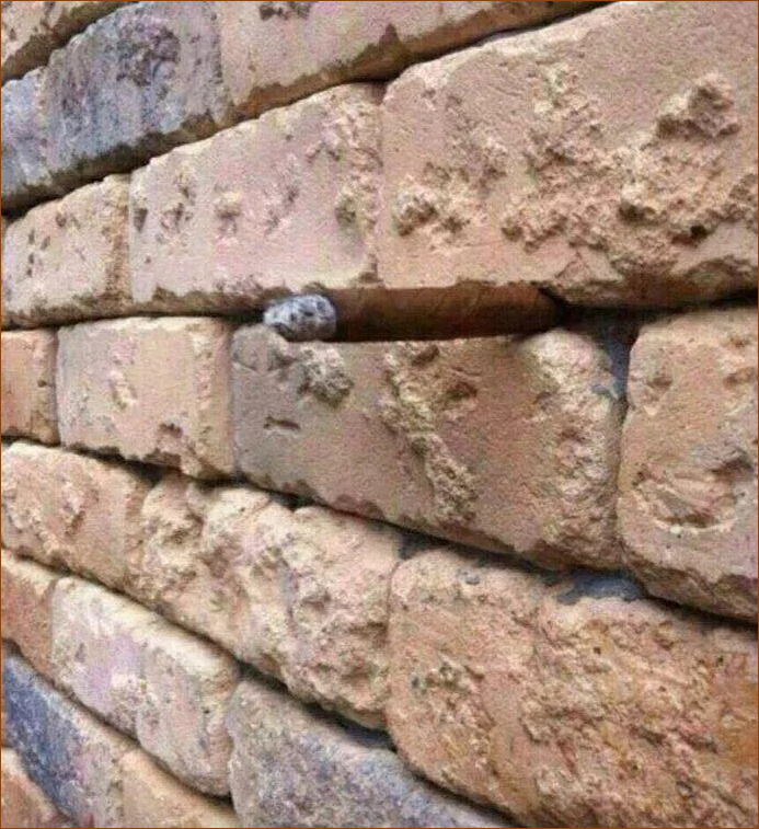 Brick Optical Illusion