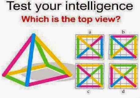 Which is the Top View Puzzle