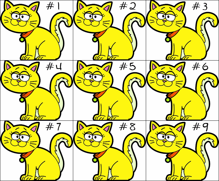 Identical Cats Riddle