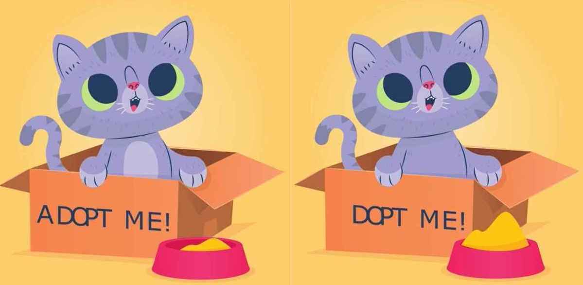 Find 3 differences between the pictures of a cat