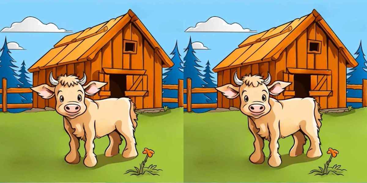 Find 3 differences between the pictures of a cow on the farm