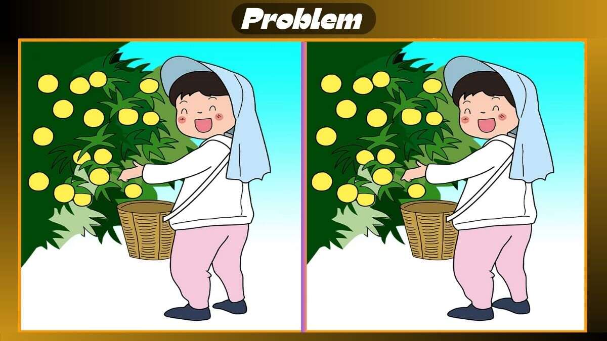 Find 3 Differences Within This Fruit Harvesting 