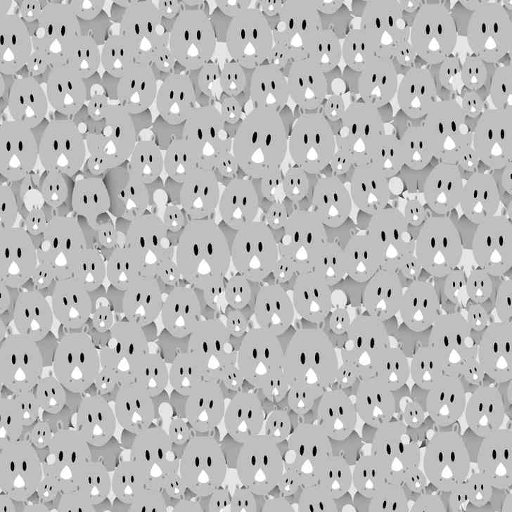 Find The ELEPHANT Hidden Among Koala Bears