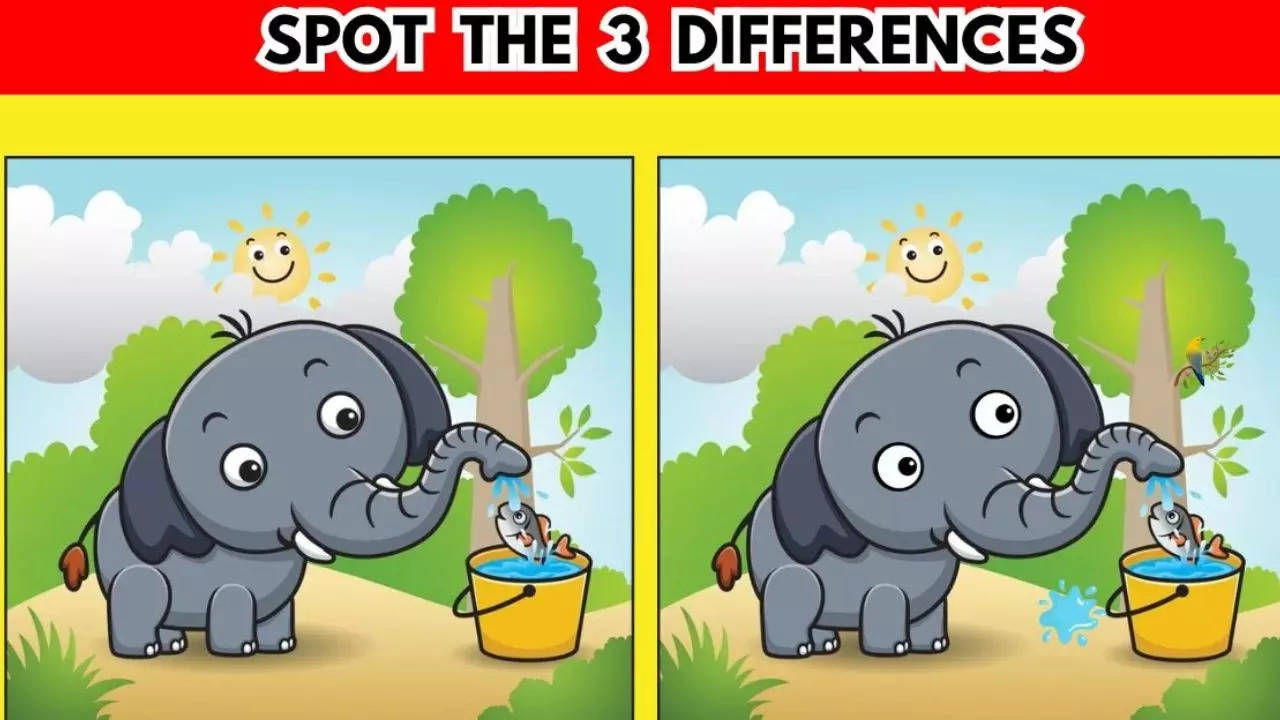 Spot the 3 Differences